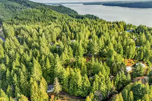 170 Cirque Dr, Brinnon, WA 98320 - Photo 24