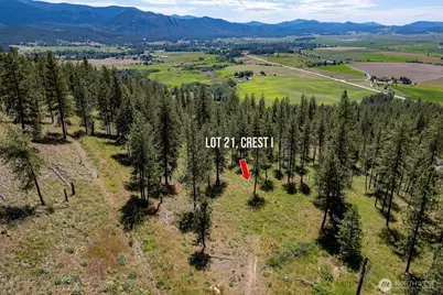 1612 Palmer Loop, Chewelah, WA 99109 - Photo 8