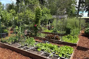 3451 E Pickering Rd, Shelton, WA 98584 - Photo 30