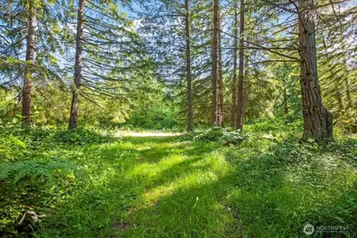 24404 122nd Avenue E, Graham, WA 98338 - Photo 4