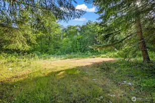 24404 122nd Ave E, Graham, WA 98338 - Photo 1