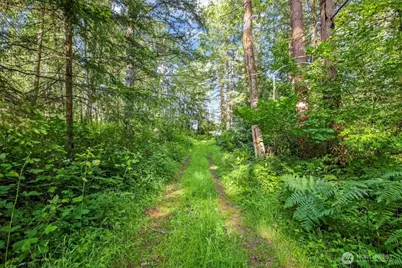 24404 122nd Avenue E, Graham, WA 98338 - Photo 6