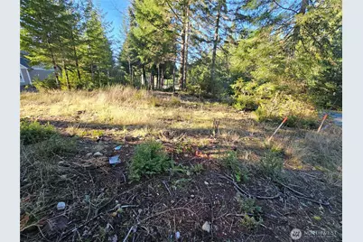 1190 E Manzanita Drive, Union, WA 98592 - Photo 6