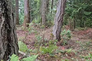 11119 122nd Ave Ct, Anderson Island, WA 98303 - Photo 4