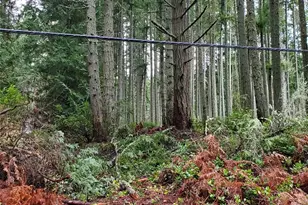 11119 122nd Ave Ct, Anderson Island, WA 98303 - Photo 10