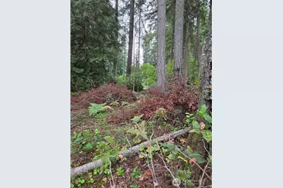 11119 122nd Avenue Ct, Anderson Island, WA 98303 - Photo 2