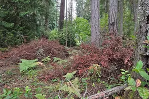 11119 122nd Ave Ct, Anderson Island, WA 98303 - Photo 2