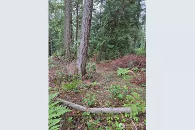 11119 122nd Avenue Ct, Anderson Island, WA 98303 - Photo 8