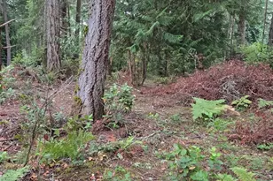 11119 122nd Ave Ct, Anderson Island, WA 98303 - Photo 8