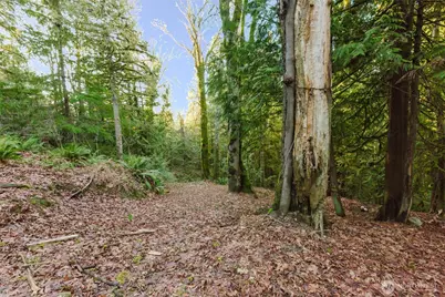 360 E Rasor Road, Belfair, WA 98528 - Photo 32