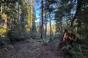 12719 & 12723 96th Street Ct, Anderson Island, WA 98303 - Photo 4