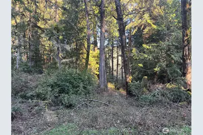 12719 & 12723 96th Street Ct, Anderson Island, WA 98303 - Photo 10