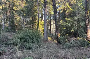 12719 & 12723 96th Street Ct, Anderson Island, WA 98303 - Photo 10