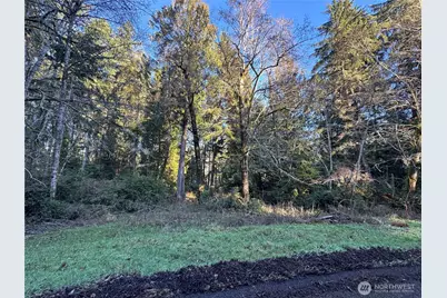 12719 & 12723 96th Street Ct, Anderson Island, WA 98303 - Photo 6