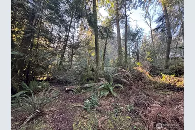 12719 & 12723 96th Street Ct, Anderson Island, WA 98303 - Photo 14