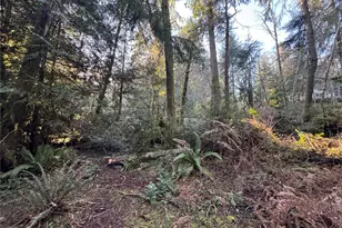 12719 & 12723 96th Street Ct, Anderson Island, WA 98303 - Photo 14