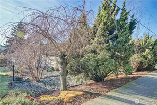 517 Sapp Rd, Sedro Woolley, WA 98284 - Photo 30