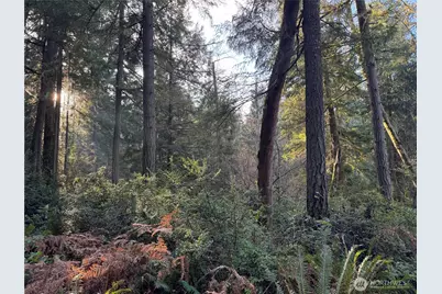 9606 Otso Point Road, Anderson Island, WA 98303 - Photo 2