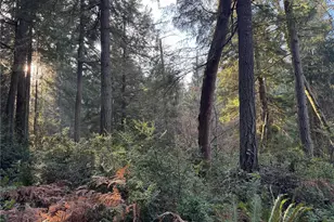 9606 Otso Point Rd, Anderson Island, WA 98303 - Photo 2