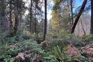 9606 Otso Point Rd, Anderson Island, WA 98303 - Photo 4