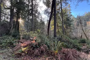 9606 Otso Point Rd, Anderson Island, WA 98303 - Photo 1