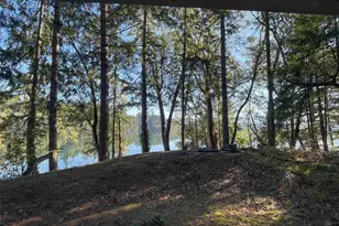 17812 Clear Lake Blvd SE, Yelm, WA 98597 - Photo 6