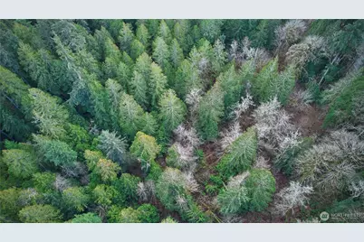 63 Xx NW Anderson Hill Road, Silverdale, WA 98383 - Photo 12