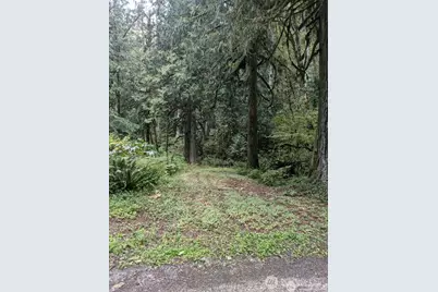 0 D1-L68 Cascade River Park Road, Marblemount, WA 98267 - Photo 1