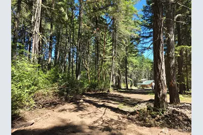 19205 30th Street SW, Longbranch, WA 98349 - Photo 6