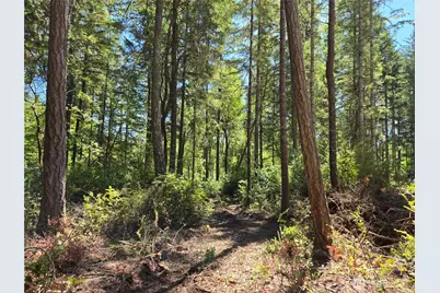 19205 30th Street SW, Longbranch, WA 98349 - Photo 10