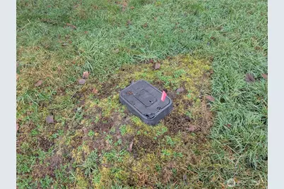 4610 Cedar Hill Road, Langley, WA 98260 - Photo 4