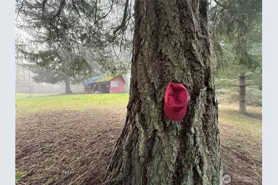 24124 94th Avenue E, Graham, WA 98338 - Photo 14