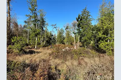 4 Lots Lilypad Place E, Port Orchard, WA 98366 - Photo 4