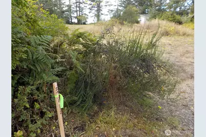 621 State Rt 101, Chinook, WA 98614 - Photo 4