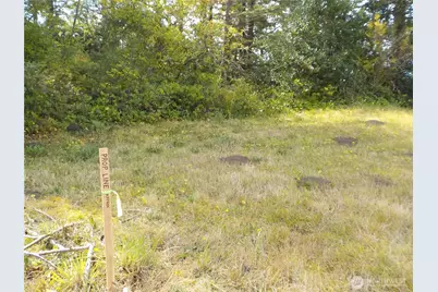 621 State Rt 101, Chinook, WA 98614 - Photo 6