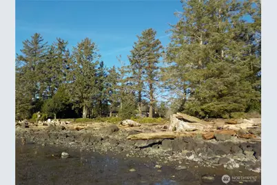 621 State Rt 101, Chinook, WA 98614 - Photo 12