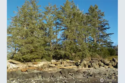 621 State Rt 101, Chinook, WA 98614 - Photo 14