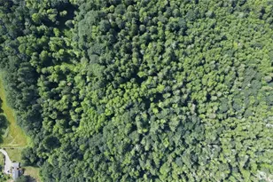 210 Xx Pugh Road NE, Poulsbo, WA 98370 - Photo 1