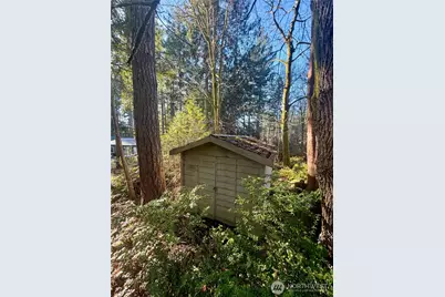 51 Fox Road, Quilcene, WA 98376 - Photo 8