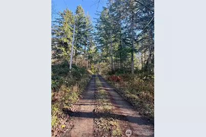 51 Fox Road, Quilcene, WA 98376 - Photo 2