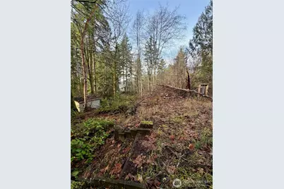 51 Fox Road, Quilcene, WA 98376 - Photo 4