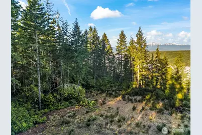 1123 E Timber Tides Drive, Union, WA 98592 - Photo 1