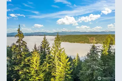 1133 E Timber Tides Drive, Union, WA 98592 - Photo 2