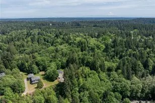 323 E Alderwood Rd, Belfair, WA 98528 - Photo 38