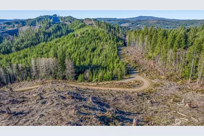 0 West Deep River Road, Naselle, WA 98638 - Photo 10