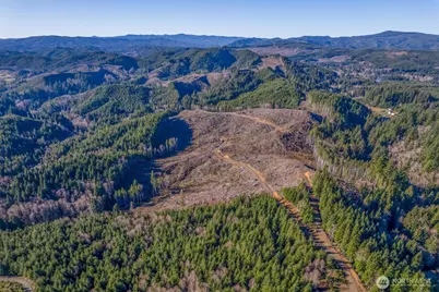 0 West Deep River Road, Naselle, WA 98638 - Photo 14