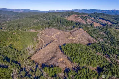 0 West Deep River Road, Naselle, WA 98638 - Photo 22