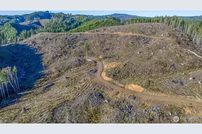 0 West Deep River Road, Naselle, WA 98638 - Photo 8