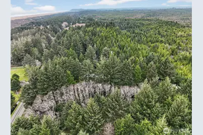 2776 State Route 109, Ocean City, WA 98569 - Photo 14