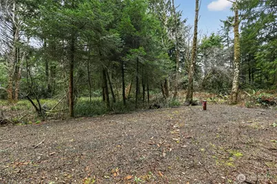 2776 State Route 109, Ocean City, WA 98569 - Photo 4